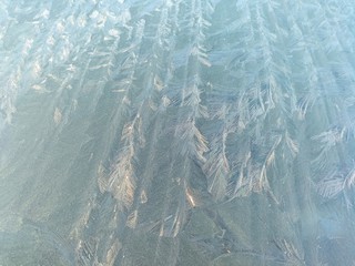 Frost