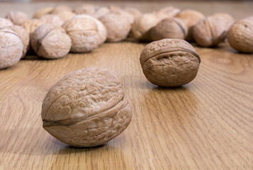 Many walnuts in shell on the table. One walnut close-up against the background of other nuts. Healthy food. Place for text.