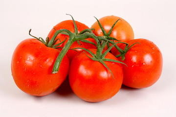 Tomaten