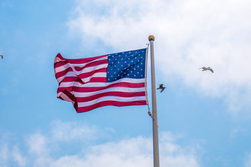 Obraz premium United States Flag