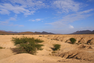 Fototapeta na wymiar paysage aride près de Icht au Maroc