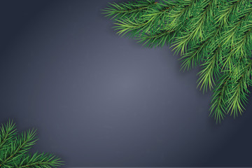 Fototapeta na wymiar Christmas tree branches on a dark background. Festive nature background.