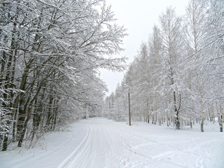 city park after snowfall