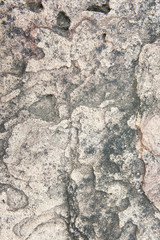Texture Sandstone background Natural stone sandstone is characterized by large brown, solid, rough ground.