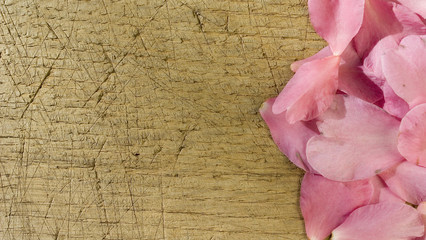 background: petals of Camelia Sasanqua or Japonica, pink, heart-shaped, resting on an old wooden plank, positioned to create a border of petals or a frame, light, shadow, winter flowering, Italy