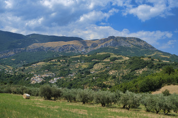Fototapeta na wymiar Summer landscape in Abruzzi near Brittoli