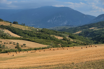 Fototapeta na wymiar Summer landscape in Abruzzi near Pietranico