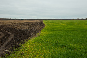 Green field and arable land.