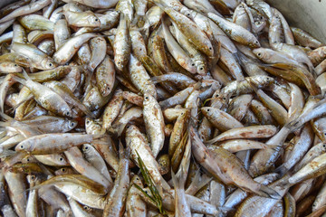 White fish with small scales. The fishermen caught from the rivers of Southeast Asia.


