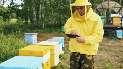 Beekeeper man with tablet computer checking wooden beehives before harvesting honey in apiary