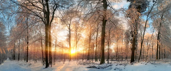 Foto auf Leinwand Winter Landschaft: Zauberhafter Sonnenuntergang im Wald © Smileus