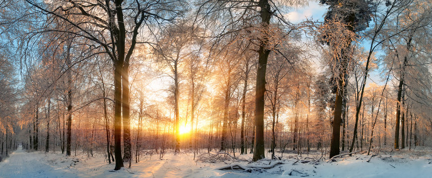 Winter Landschaft: Zauberhafter Sonnenuntergang im Wald