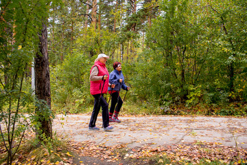 Senior ladies nordic walking