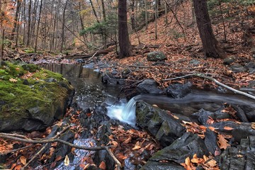 Waterfall in the autumn forest