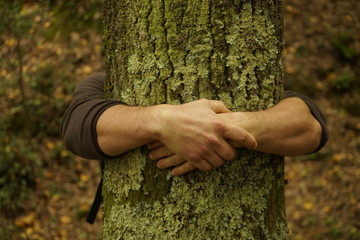 abbracciare albero