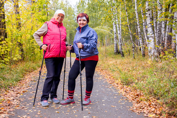 Senior ladies nordic walking