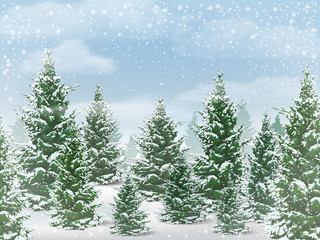 Winter landscape. The background of the forest with the trees against the sky with snow.