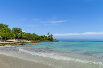 coastline, beach, ocean, vegetation Punta Cana, Dominican Republic