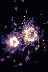 Obraz premium Firework of sparkling star shape on dark background. Celebration concept.