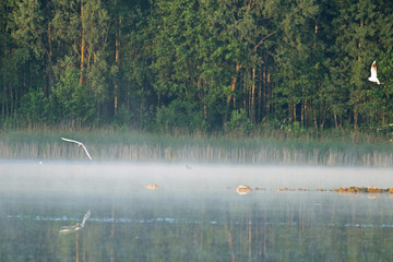 Jezioro © michalsen