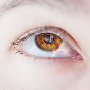 Oeil m&eacute;canique