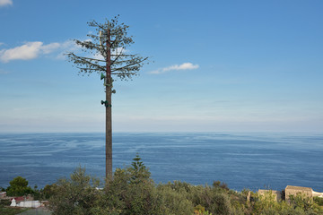 Getarnter Handymast