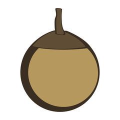 Fototapeta premium Isolated sapote illustration