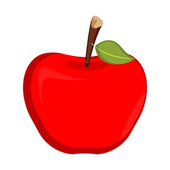 Isolated apple illustration