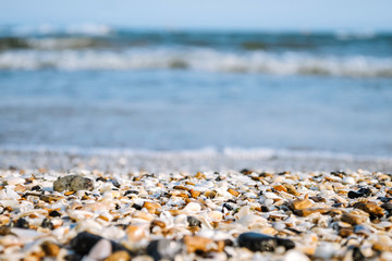 Sea coast, seashells, close-up, the sea is out of focus