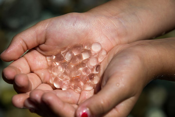 Naklejka premium a hand full of small jellyfish