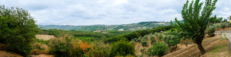 Fototapeta na wymiar Tuscan landscape in Italy