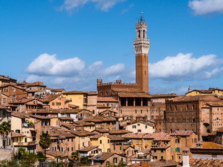 Fototapeta na wymiar View on the city of Siena