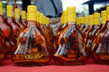 Cobra ans scorpion brandy, Don Sao, Laos