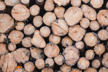 Stacked timber logs as background