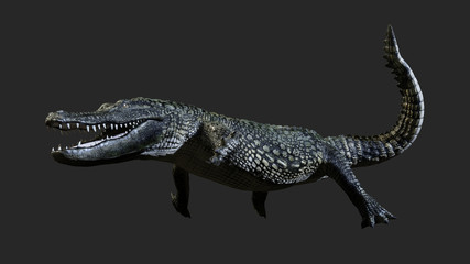 3D Illustration of a green American alligator isolated on grey background, American crocodile.