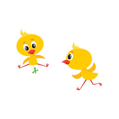 vector cartoon cute baby chicken characters set. Yellow small funny chicks running and playing with butterfly. Flat bird animal, isolated illustration on a white background.