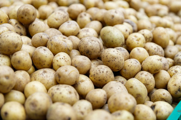 potatoes in the market market