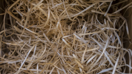 Macro photography of wood shavings
