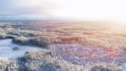 aerial view of beautiful winter forest at sunset