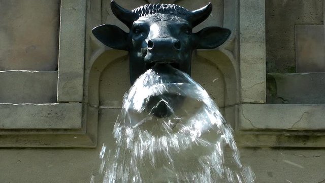 Animal Sculpture on Fountain in Frankfurt