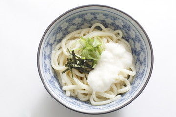 Tororo soy sauce udon Sanuki