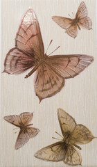 ceramic tiles with a pattern of butterflies