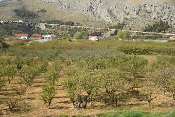 Recorrido por las granjas que van desde Dubrovnik a medjugorje y split, sus pequeños poblados e...