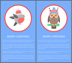 Merry Christmas 60s or 70s Birds Postcard Congrats