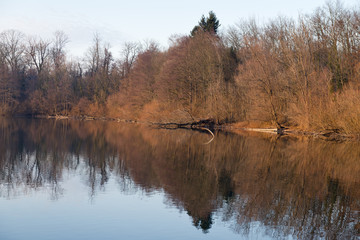 Altrheinarm bei Au am Rhein.