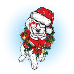 A beautiful puppy in a Christmas wreath and hat. Vector illustration. A pedigree dog in clothes and accessories. New Year's and Christmas.