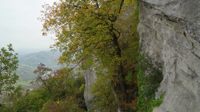 15303_Trees_and_plants_on_the_cliff_of_the_Mount_Titano_in_San_Marino_Italy.mov