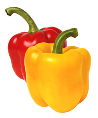 isolated sweet red and yellow bulgarian pepper on white background