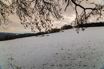 Estampa invernal