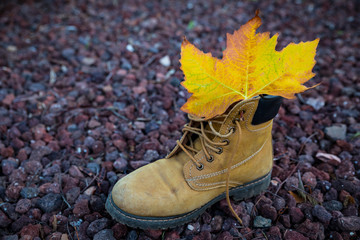 hiking boots with dry autumn leaves